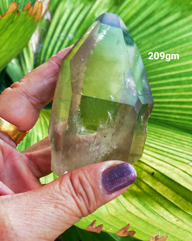 Lemurian Smoky 209g