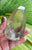 Lemurian Smoky 209g