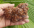 Aragonite raw