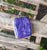 Pendant- Charoite *High Grade