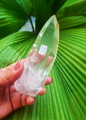Lemurian Laser Point AA Quality 187g
