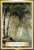 Oracle cards- Wisdom of the Golden Path by Toni Carmine Salerno