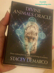 Oracle cards- Divine Animal Oracle by Stacey Demarco and Kinga Britschgi