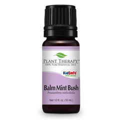 Plant Therapy Balm Mint Bush Essential Oil 10ml