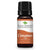 Plant Therapy- Cinnamon Leaf Essential Oil 10ml