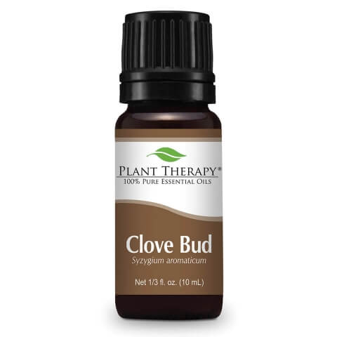 Plant Therapy- Clove Bud 10ml