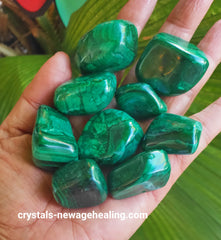 Malachite Tumbled various sizes